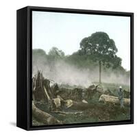 Clearing of a Forest on the Island of Java (Indonesia), around 1900-Leon, Levy et Fils-Framed Stretched Canvas