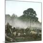 Clearing of a Forest on the Island of Java (Indonesia), around 1900-Leon, Levy et Fils-Mounted Photographic Print