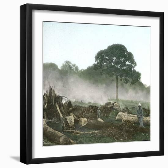 Clearing of a Forest on the Island of Java (Indonesia), around 1900-Leon, Levy et Fils-Framed Photographic Print