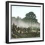 Clearing of a Forest on the Island of Java (Indonesia), around 1900-Leon, Levy et Fils-Framed Photographic Print