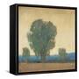 Clearing Storm II-Tim OToole-Framed Stretched Canvas