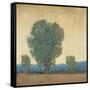 Clearing Storm II-Tim OToole-Framed Stretched Canvas