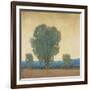 Clearing Storm II-Tim OToole-Framed Art Print