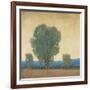 Clearing Storm II-Tim OToole-Framed Art Print