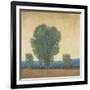 Clearing Storm II-Tim OToole-Framed Art Print