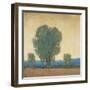 Clearing Storm II-Tim OToole-Framed Art Print