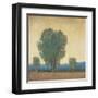 Clearing Storm II-Tim OToole-Framed Art Print