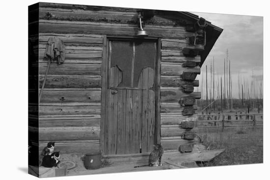 Clearing the Forest-Dorothea Lange-Stretched Canvas