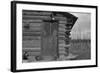 Clearing the Forest-Dorothea Lange-Framed Art Print