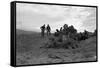 Clearing the Forest-Dorothea Lange-Framed Stretched Canvas
