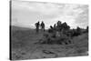 Clearing the Forest-Dorothea Lange-Stretched Canvas