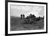 Clearing the Forest-Dorothea Lange-Framed Premium Giclee Print