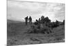 Clearing the Forest-Dorothea Lange-Mounted Premium Giclee Print