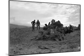 Clearing the Forest-Dorothea Lange-Mounted Art Print