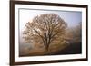 Clearing-David Lorenz Winston-Framed Art Print