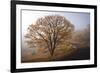 Clearing-David Lorenz Winston-Framed Art Print