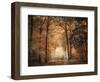 Clearing-Jai Johnson-Framed Premium Giclee Print