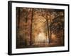 Clearing-Jai Johnson-Framed Giclee Print