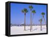 Clearwater Beach, Clearwater, Florida, USA-Fraser Hall-Framed Stretched Canvas