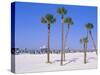 Clearwater Beach, Clearwater, Florida, USA-Fraser Hall-Stretched Canvas