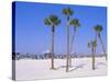 Clearwater Beach, Clearwater, Florida, USA-Fraser Hall-Stretched Canvas