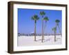 Clearwater Beach, Clearwater, Florida, USA-Fraser Hall-Framed Photographic Print