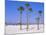 Clearwater Beach, Clearwater, Florida, USA-Fraser Hall-Mounted Photographic Print