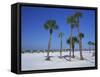 Clearwater Beach, Florida, United States of America, North America-Fraser Hall-Framed Stretched Canvas