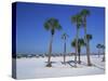 Clearwater Beach, Florida, United States of America, North America-Fraser Hall-Stretched Canvas