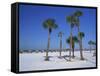 Clearwater Beach, Florida, United States of America, North America-Fraser Hall-Framed Stretched Canvas