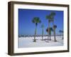 Clearwater Beach, Florida, United States of America, North America-Fraser Hall-Framed Photographic Print