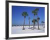 Clearwater Beach, Florida, United States of America, North America-Fraser Hall-Framed Photographic Print