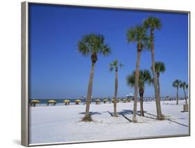 Clearwater Beach, Florida, United States of America, North America-Fraser Hall-Framed Photographic Print