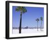 Clearwater Beach, Florida, United States of America (U.S.A.), North America-Fraser Hall-Framed Photographic Print