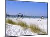 Clearwater Beach, Florida, USA-Fraser Hall-Mounted Photographic Print