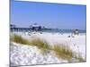 Clearwater Beach, Florida, USA-Fraser Hall-Mounted Photographic Print