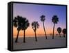 Clearwater Beach, Florida, USA-John Coletti-Framed Stretched Canvas