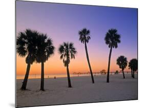 Clearwater Beach, Florida, USA-John Coletti-Mounted Photographic Print
