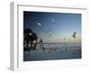 Clearwater Beach, Florida, USA-John Coletti-Framed Photographic Print