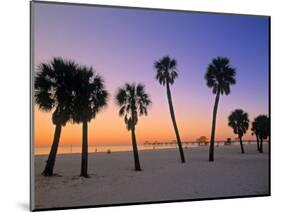 Clearwater Beach, Florida, USA-John Coletti-Mounted Photographic Print