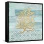 Clearwater Coral I-Paul Brent-Framed Stretched Canvas