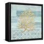 Clearwater Coral I-Paul Brent-Framed Stretched Canvas