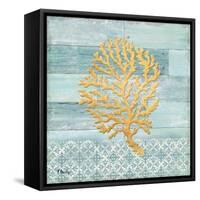 Clearwater Coral II-Paul Brent-Framed Stretched Canvas