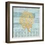 Clearwater Coral II-Paul Brent-Framed Art Print