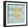 Clearwater Coral II-Paul Brent-Framed Art Print