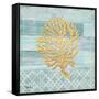 Clearwater Coral II-Paul Brent-Framed Stretched Canvas