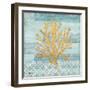 Clearwater Coral III-Paul Brent-Framed Art Print