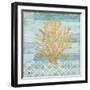 Clearwater Coral III-Paul Brent-Framed Art Print