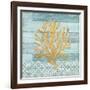 Clearwater Coral III-Paul Brent-Framed Art Print