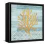 Clearwater Coral III-Paul Brent-Framed Stretched Canvas